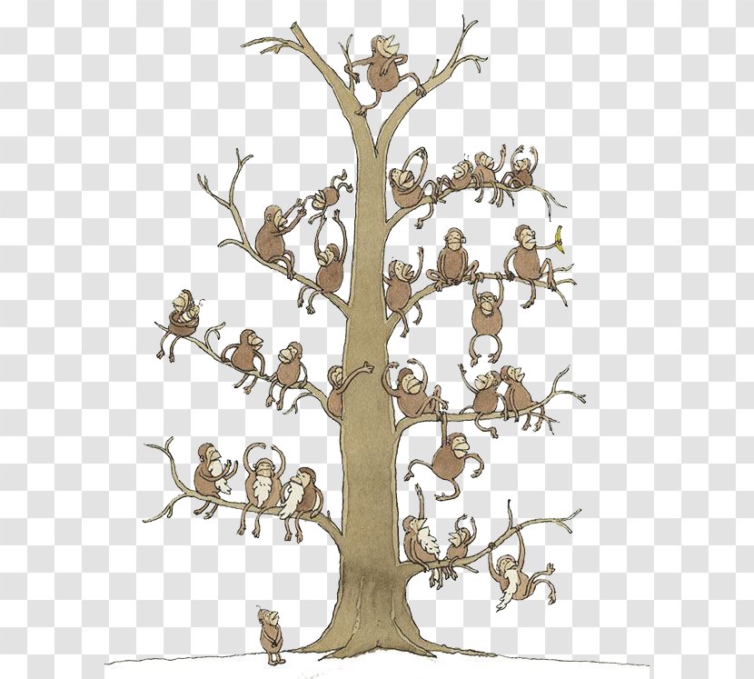 Illustrator Cartoon Illustration - Tree Monkey Transparent PNG