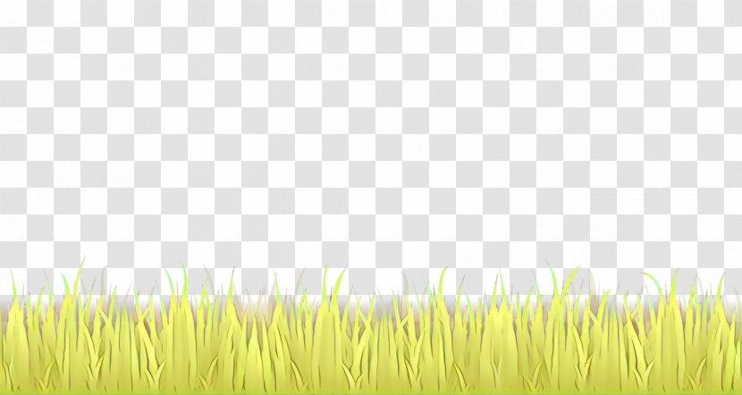 Grass Background - Paddy Field - Lawn Prairie Transparent PNG