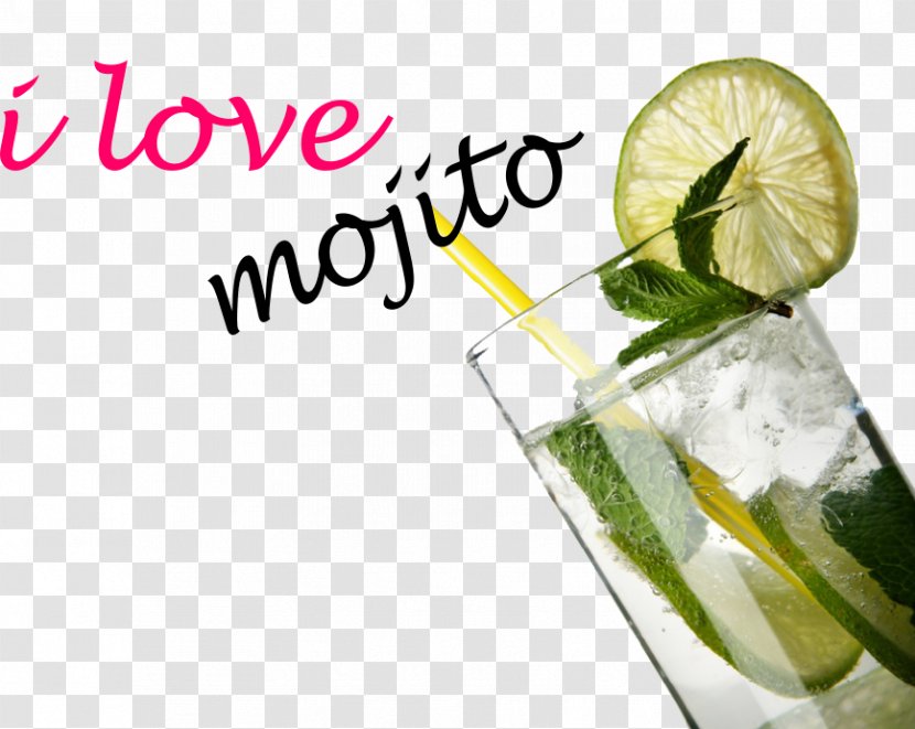 Mojito Cocktail Rum Caipirinha Drink - Rickey Transparent PNG