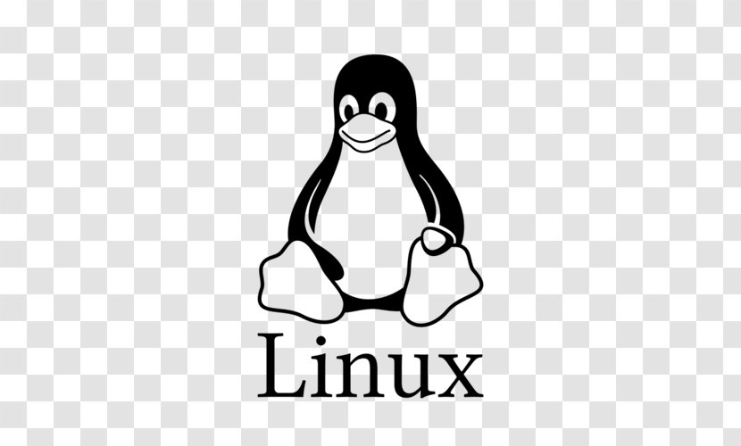 Linux Everything Is A File Computer Software Ubuntu - Vertebrate Transparent PNG