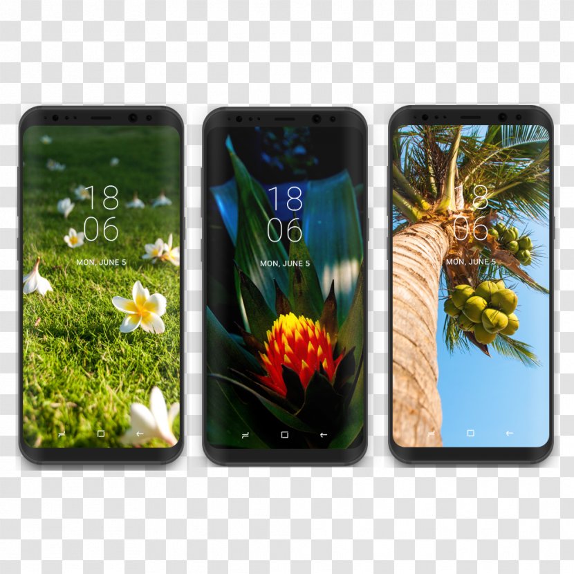 Samsung Galaxy S8+ S6 Desktop Wallpaper - Grass - Tropical Collection Transparent PNG