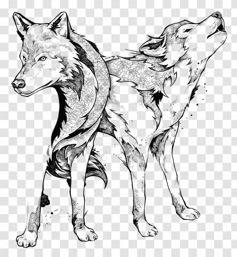 Line Art Drawing Black And White Gray Wolf - Wildlife - Watercolor Koi Transparent PNG
