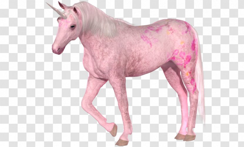 Invisible Pink Unicorn Horse - Mythical Creature - Unicorns Transparent PNG