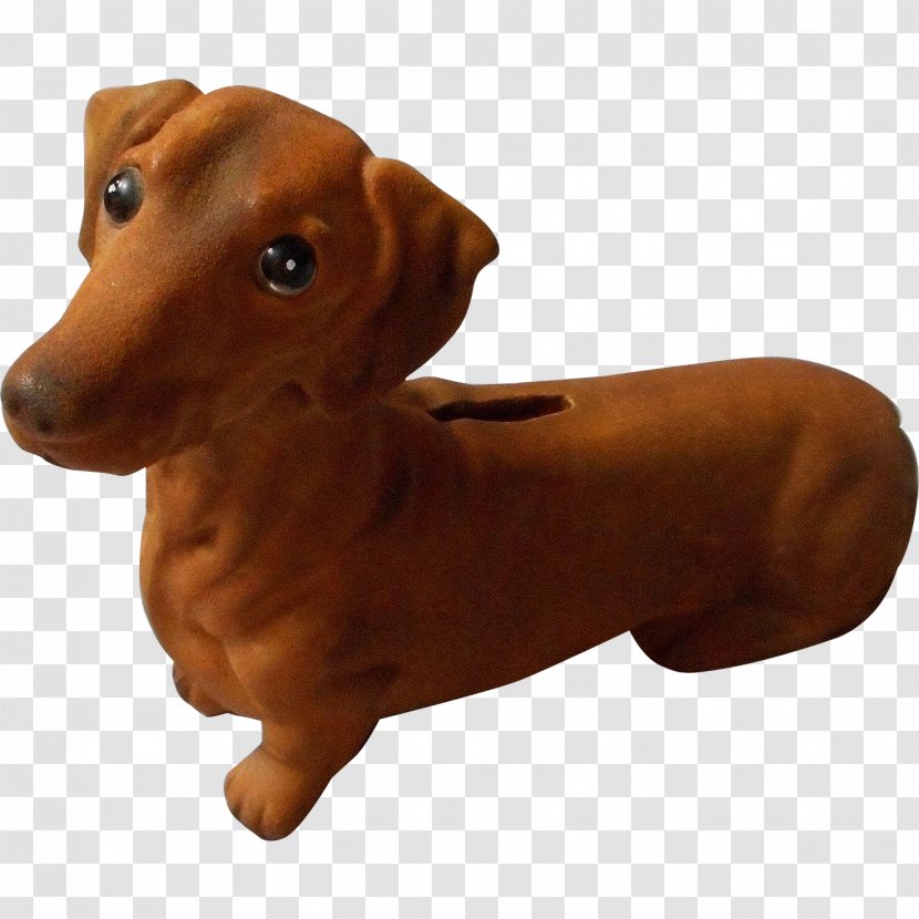 Dachshund Puppy Scent Hound Dog Breed - Pet Transparent PNG