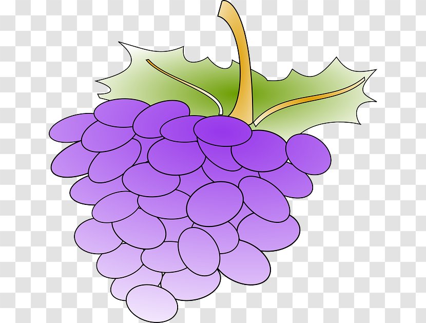Common Grape Vine Wine Clip Art Openclipart - Violet Transparent PNG