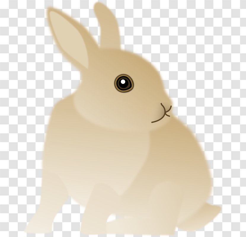 Hare Domestic Rabbit Easter Bunny Whiskers - Scatters The Transparent PNG