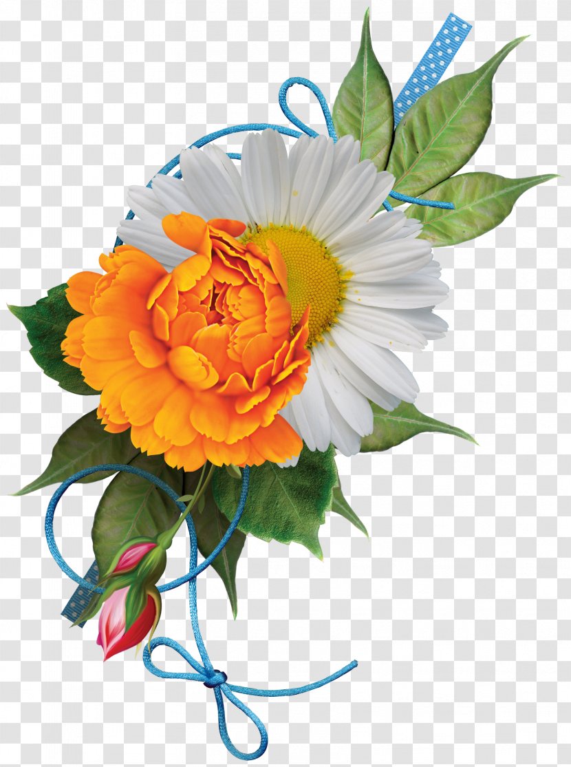 Floral Design Flower Silhouette - Petal Transparent PNG