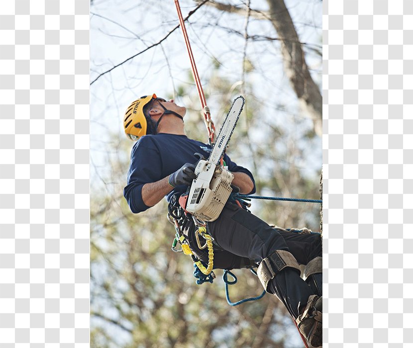 Climbing Harnesses Belay & Rappel Devices Belaying Tree Safety Harness - Saw Chain Transparent PNG