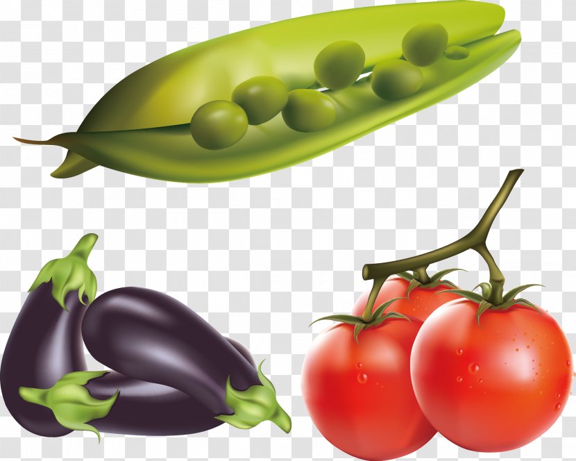Eggplant Tomato Clip Art - Fresh Vegetables Realistic Renderings Transparent PNG