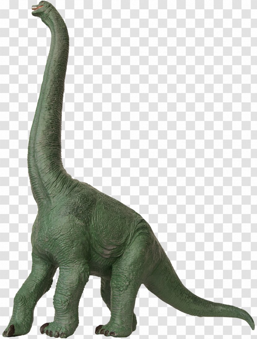Dinosaur King Brachiosaurus Apatosaurus Plateosaurus Stegosaurus - Mesozoic - Fossil Transparent PNG