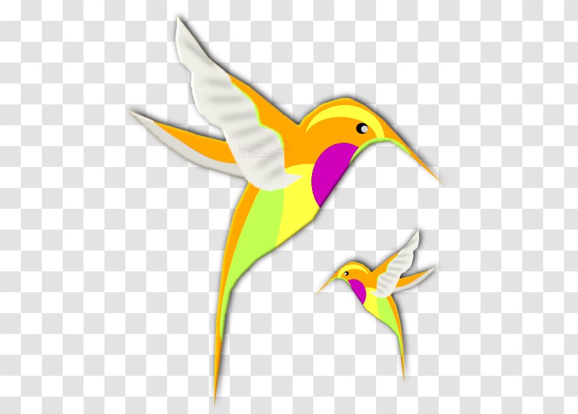 Hummingbird Beak Clip Art - Violetcrowned - Bird Transparent PNG
