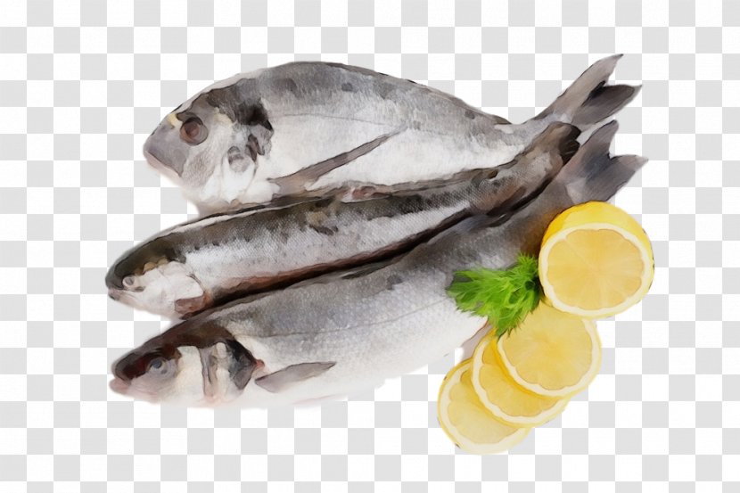 Fish Seafood Food Oily - Paint - Soused Herring Transparent PNG