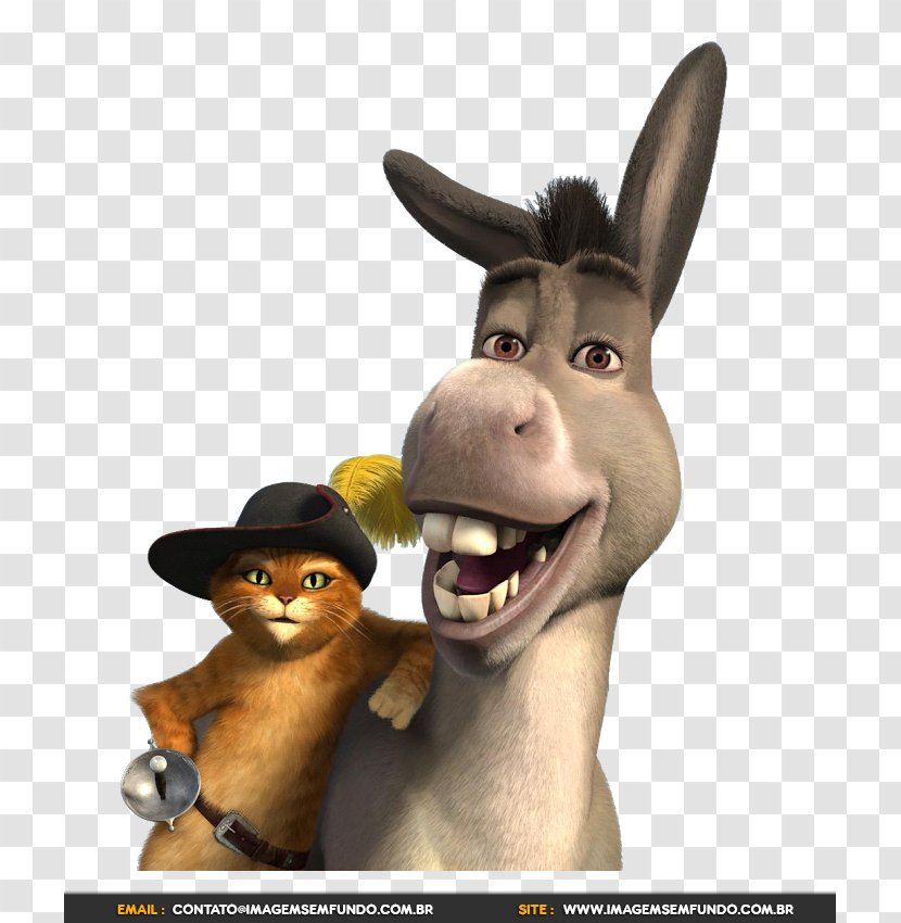 Donkey Adaptations Of Puss In Boots Princess Fiona Shrek Transparent PNG