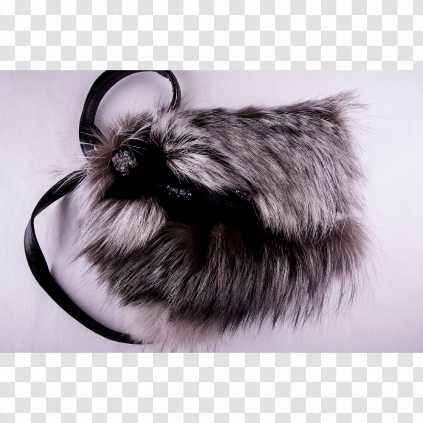 Fur Whiskers Leather Handbag Mammal - RENARD Transparent PNG