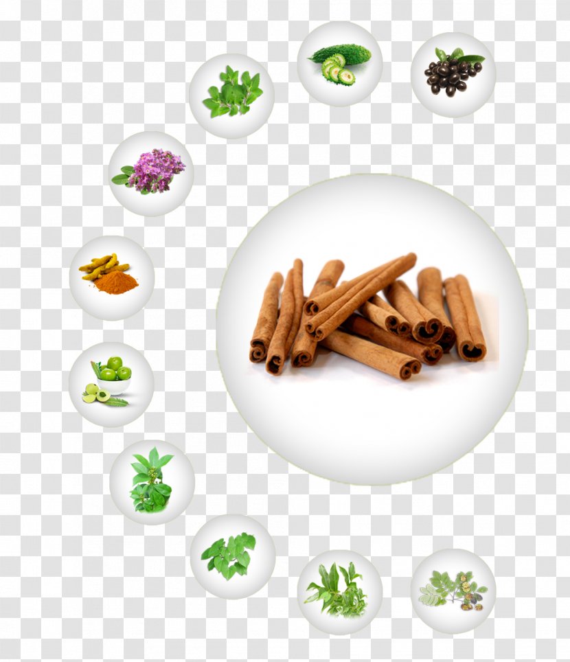 Cinnamomum Verum Cinnamon Spice Tea Production In Sri Lanka Manufacturing - Price Transparent PNG