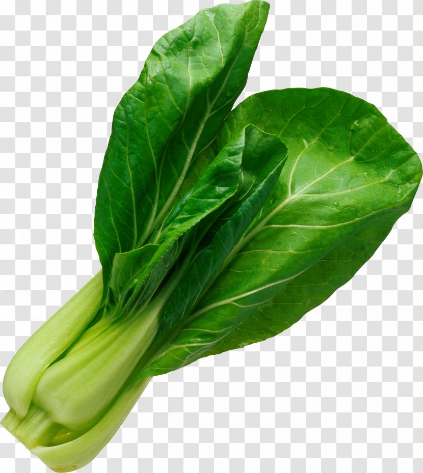 Chinese Cabbage Bok Choy Vegetarian Cuisine Vegetable Soup - Komatsuna - Salad Leaf Image Transparent PNG