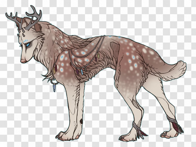 Jackal Gray Wolf Macropodidae Red Deer - Organism - Wild Child Transparent PNG