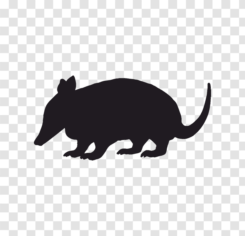 Snout Rat Wildlife Animal Figure Tail Transparent PNG