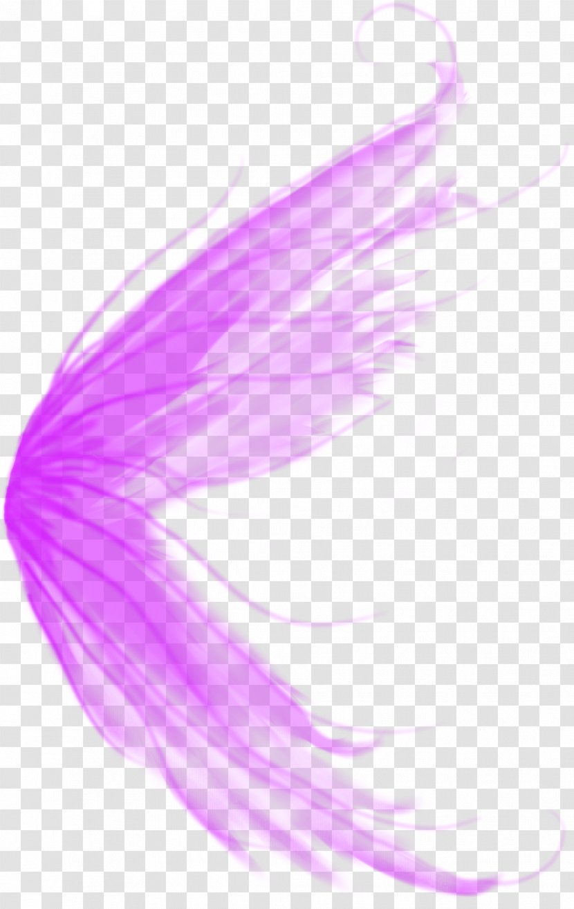 Download Brush Blog Color - Lilac - Brushes Transparent PNG