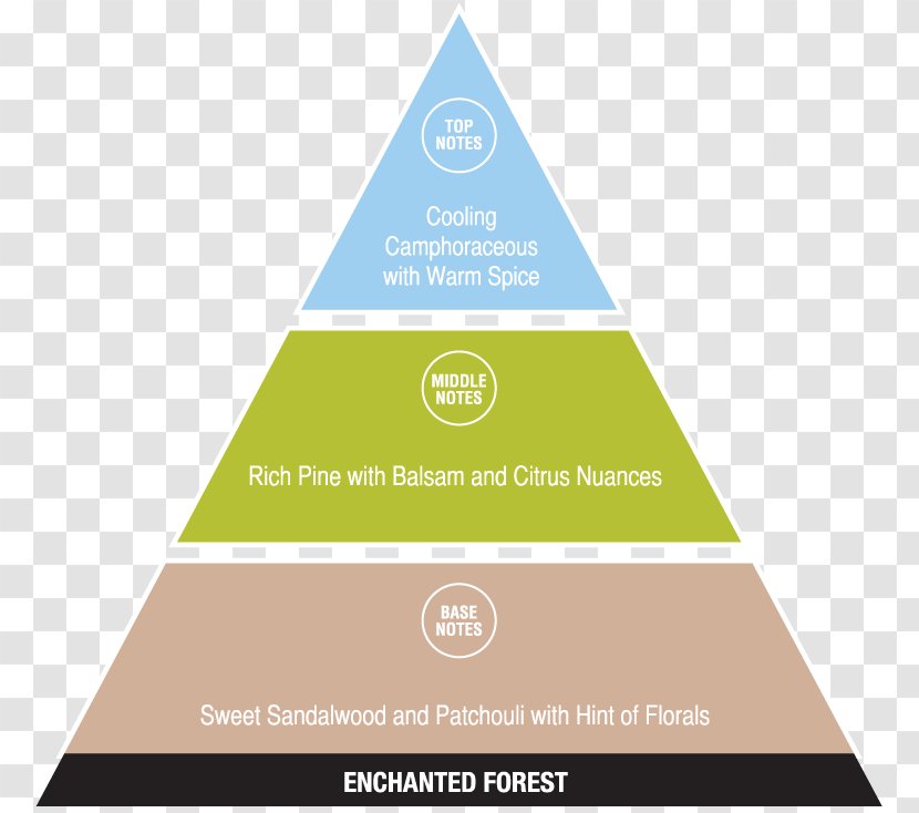 Small Business Organization Management - Process - Enchanted Forest Transparent PNG