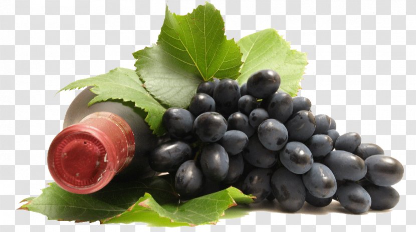 Common Grape Vine Straw Wine Isabella Transparent PNG