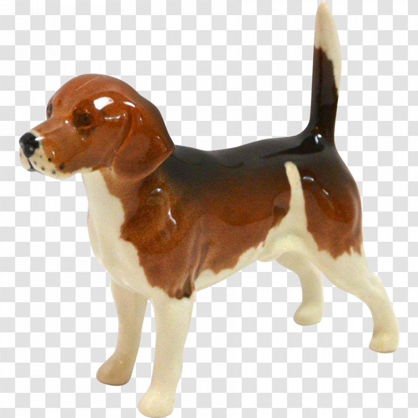 Beagle English Foxhound Harrier American Billy - Hound - Dogs Transparent PNG