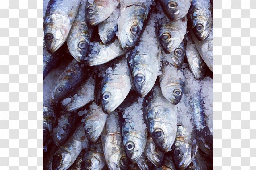 Sardine Kipper Tinapa Fish Products Oily Transparent PNG