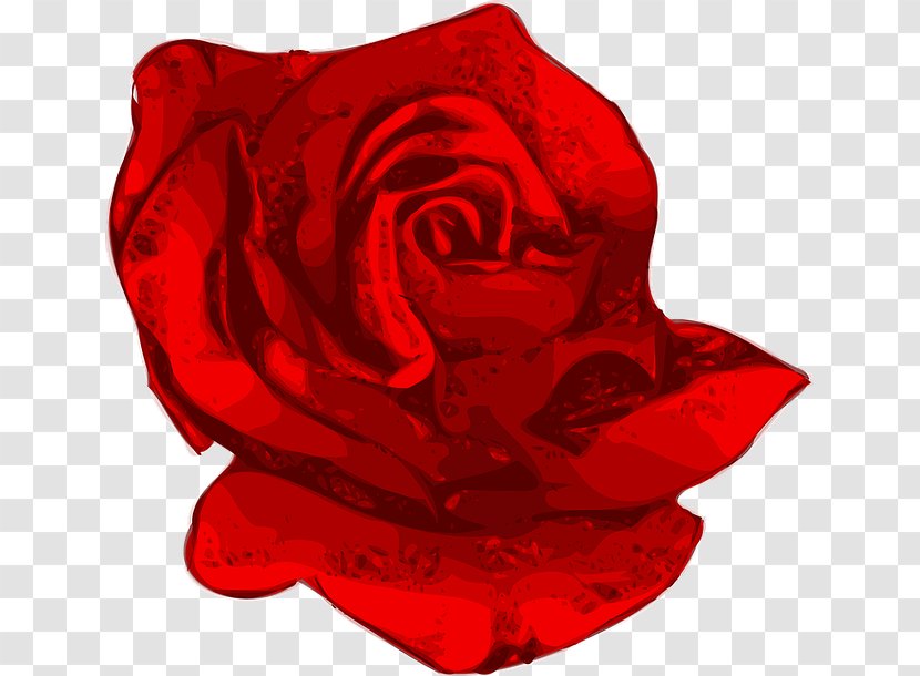 Vector Graphics Rose Flower Clip Art Image - Red Transparent PNG