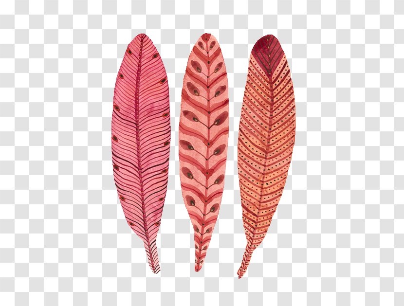 Watercolor Painting Drawing - Feather Transparent PNG