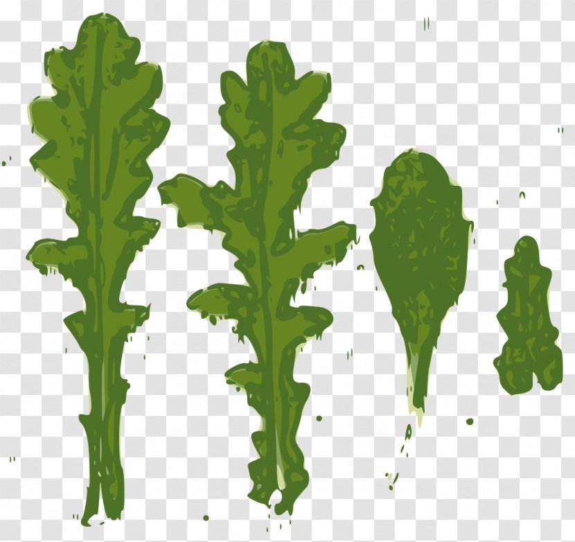 Common Groundsel Leaf Herbaceous Plant Daisy Family - Ragworts Transparent PNG