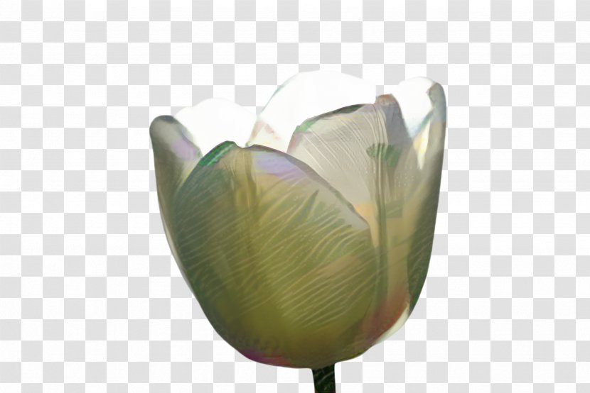 Lily Flower Cartoon - Leaf - Arum Family Water Transparent PNG
