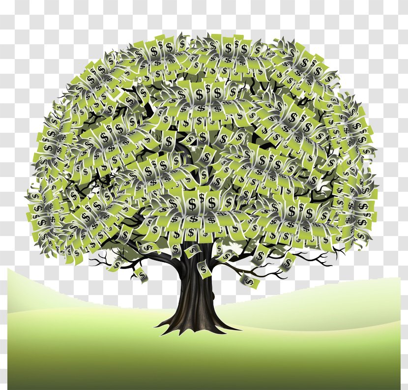 Branch Stock Photography Tree Finance - Masterfile Corporation - Creative Coins Covered With Trees Transparent PNG