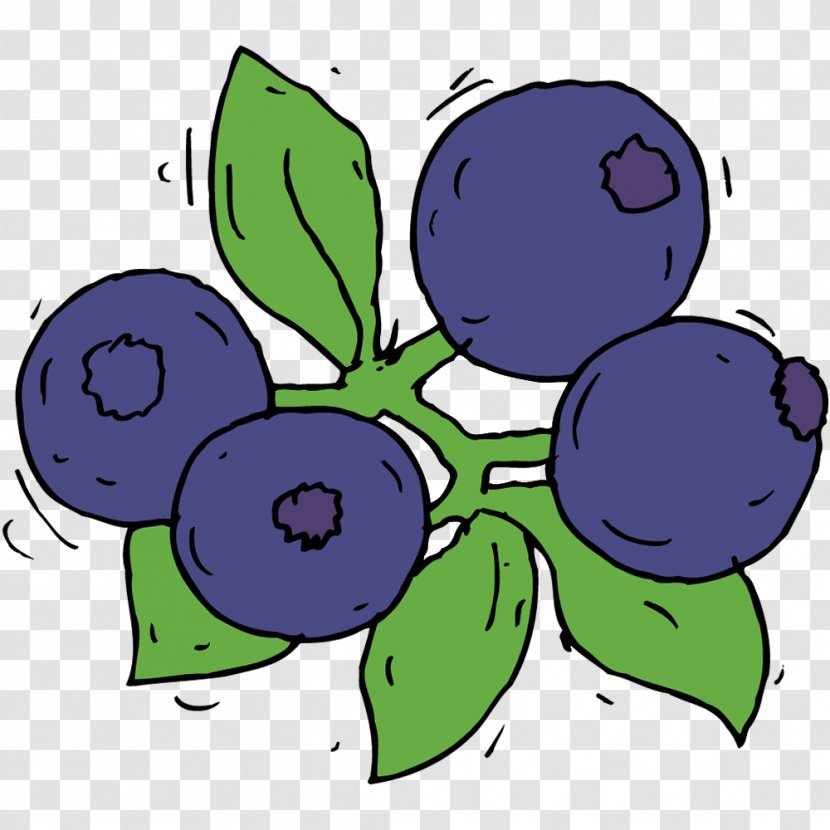 Grape Clip Art Bilberry Blueberry Berries - Blackberries Illustration Transparent PNG