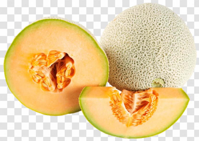 Cantaloupe Galia Melon Transparent PNG