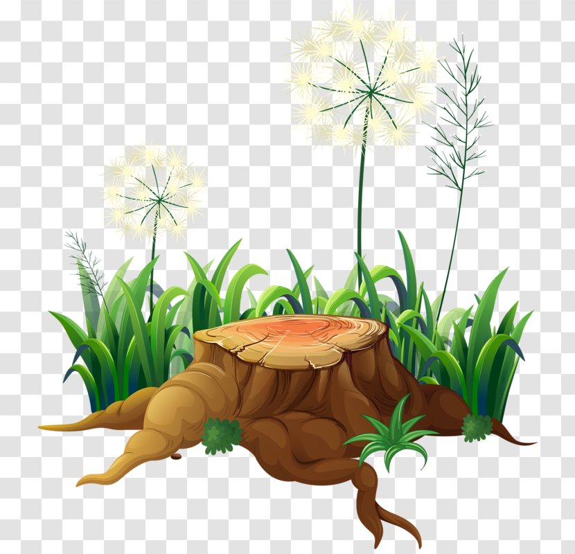 Orangutan Monkey Illustration - Dandelion And Stump Transparent PNG