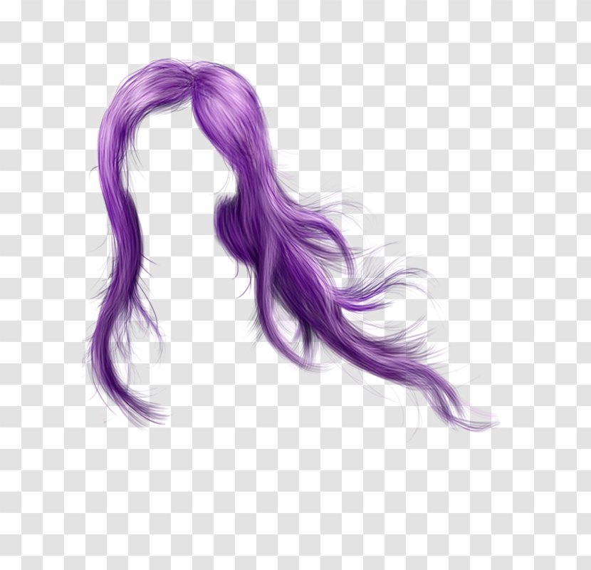 Black Hair Coloring Wig Long - Layered - Lentes Transparent PNG