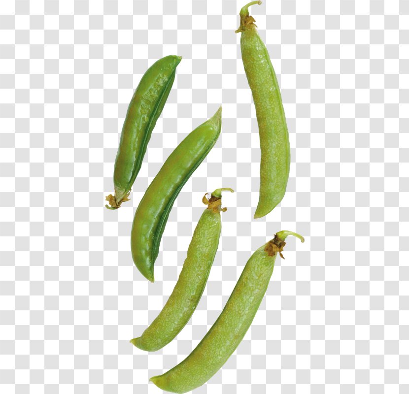 Green Pea Image Bean - Natural Foods Transparent PNG