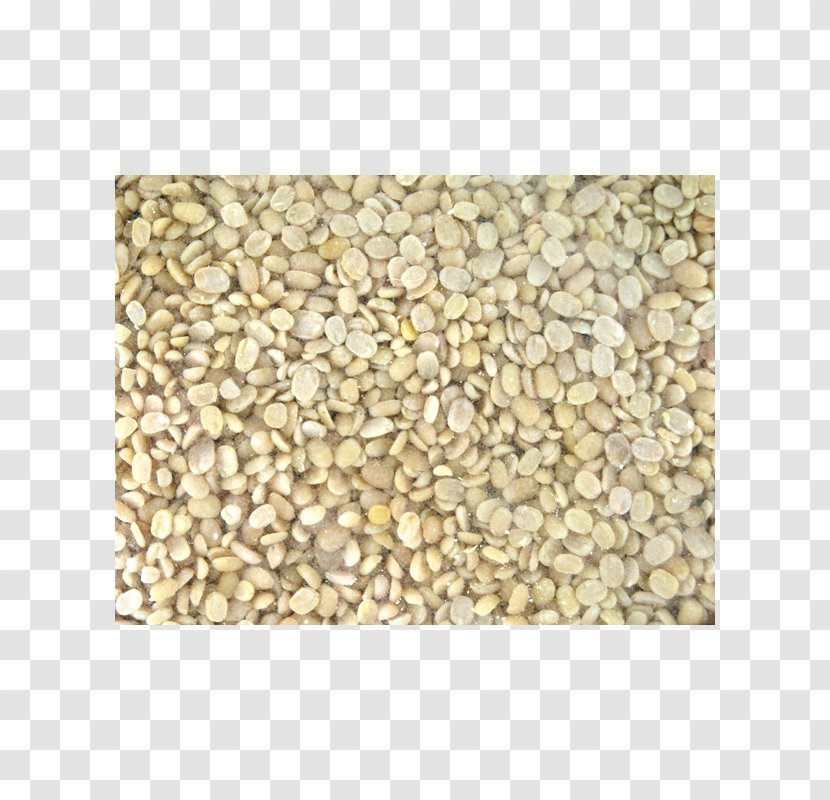 Material Mixture Gravel - Dalì Transparent PNG