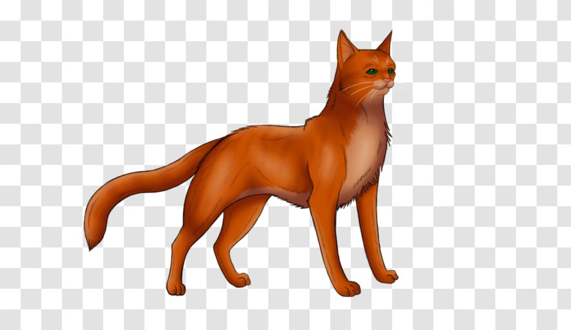 Whiskers Kitten Firestar Fan Art - Orange Transparent PNG