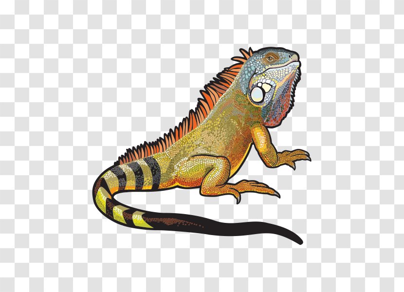 Chameleon Background - Sticker - Art Tyrannosaurus Transparent PNG
