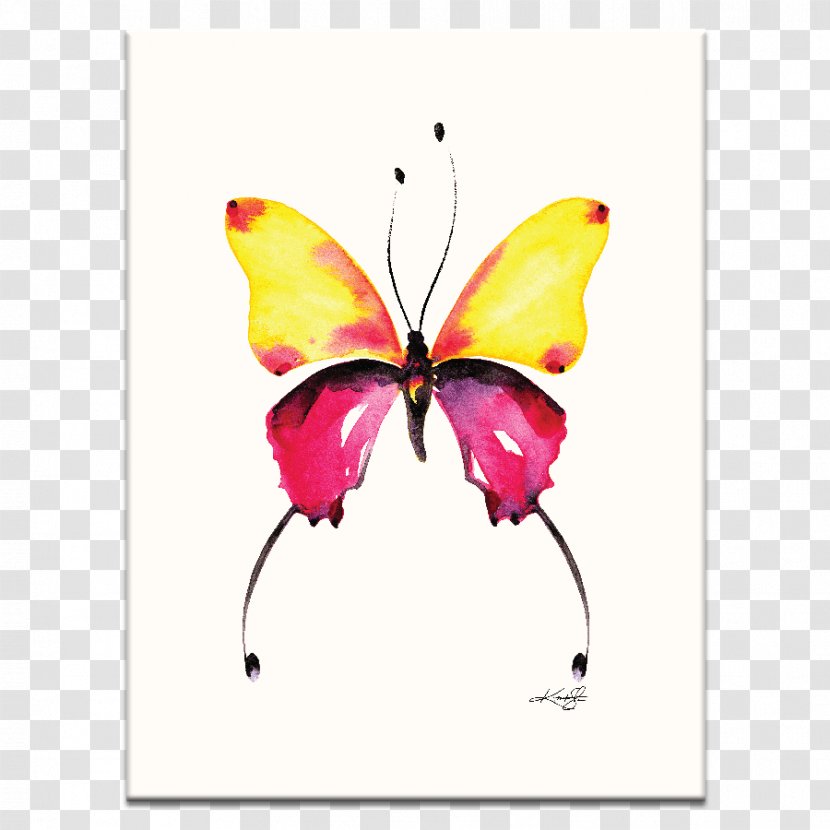 Monarch Butterfly Watercolor Painting Abstract Art - Invertebrate Transparent PNG