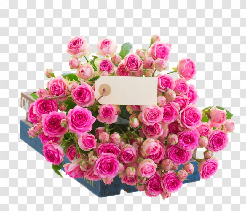 Love Garden Roses Heart Romance - Picture Frame - Rose And Tags Image Transparent PNG