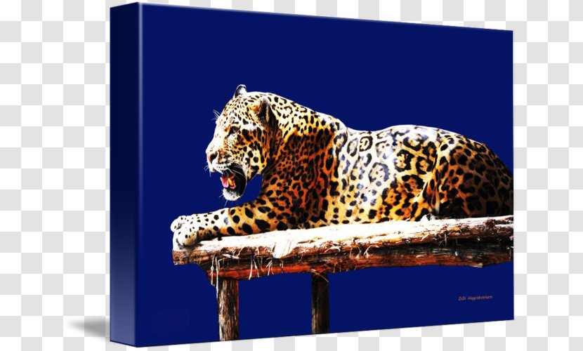 Leopard Jaguar God Tiger Wildlife - Cat Like Mammal Transparent PNG
