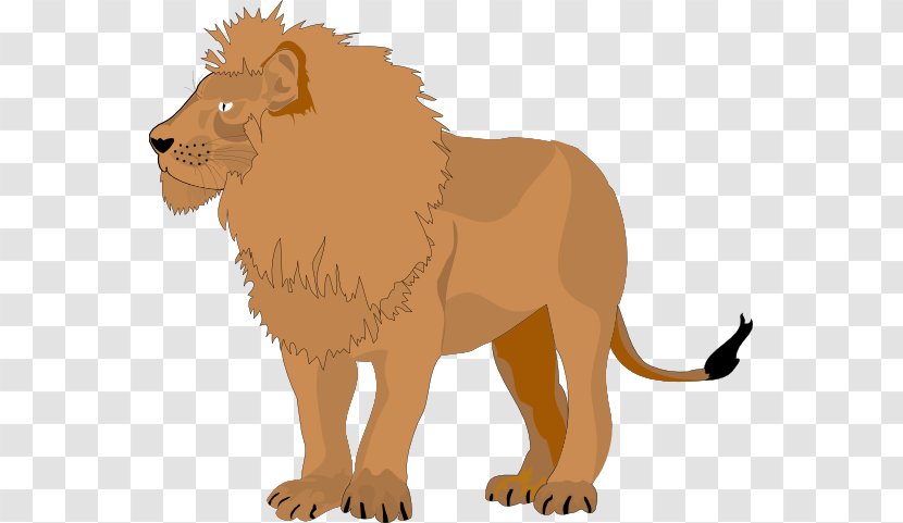 Lion Clip Art - Organism - The King Transparent PNG