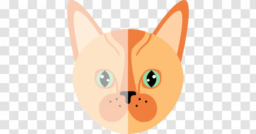 Whiskers Cat Dog Clip Art Snout - Ear Transparent PNG
