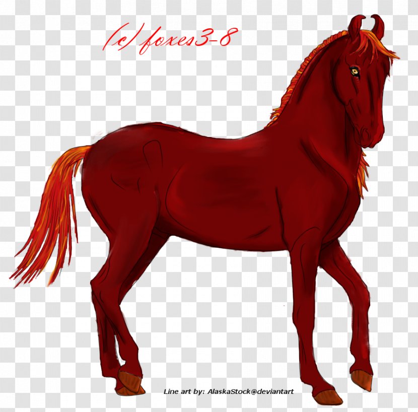 Pony Stallion Mare Mustang Halter - Horse Transparent PNG