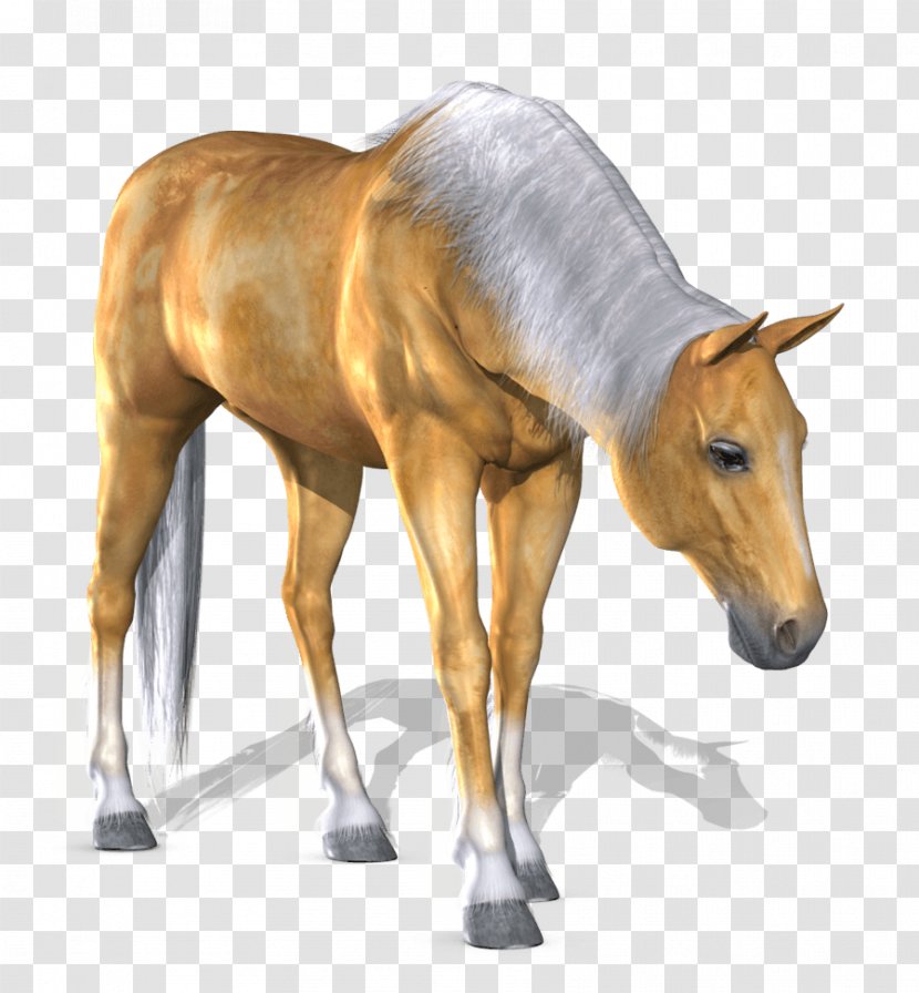 Horse Computer File - Sorrel - Image Transparent PNG