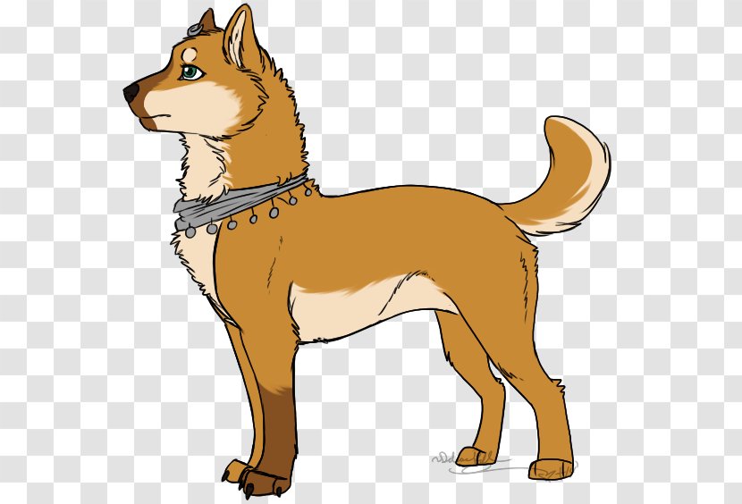 Dog Breed Finnish Spitz Shikoku Puppy Red Fox Transparent PNG