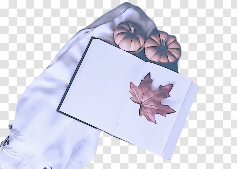 Maple Leaf - Petal Morning Glory Transparent PNG
