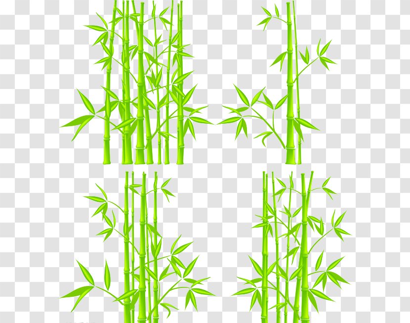 Bamboo Royalty-free Clip Art - Drawing - Creative Sketch Transparent PNG